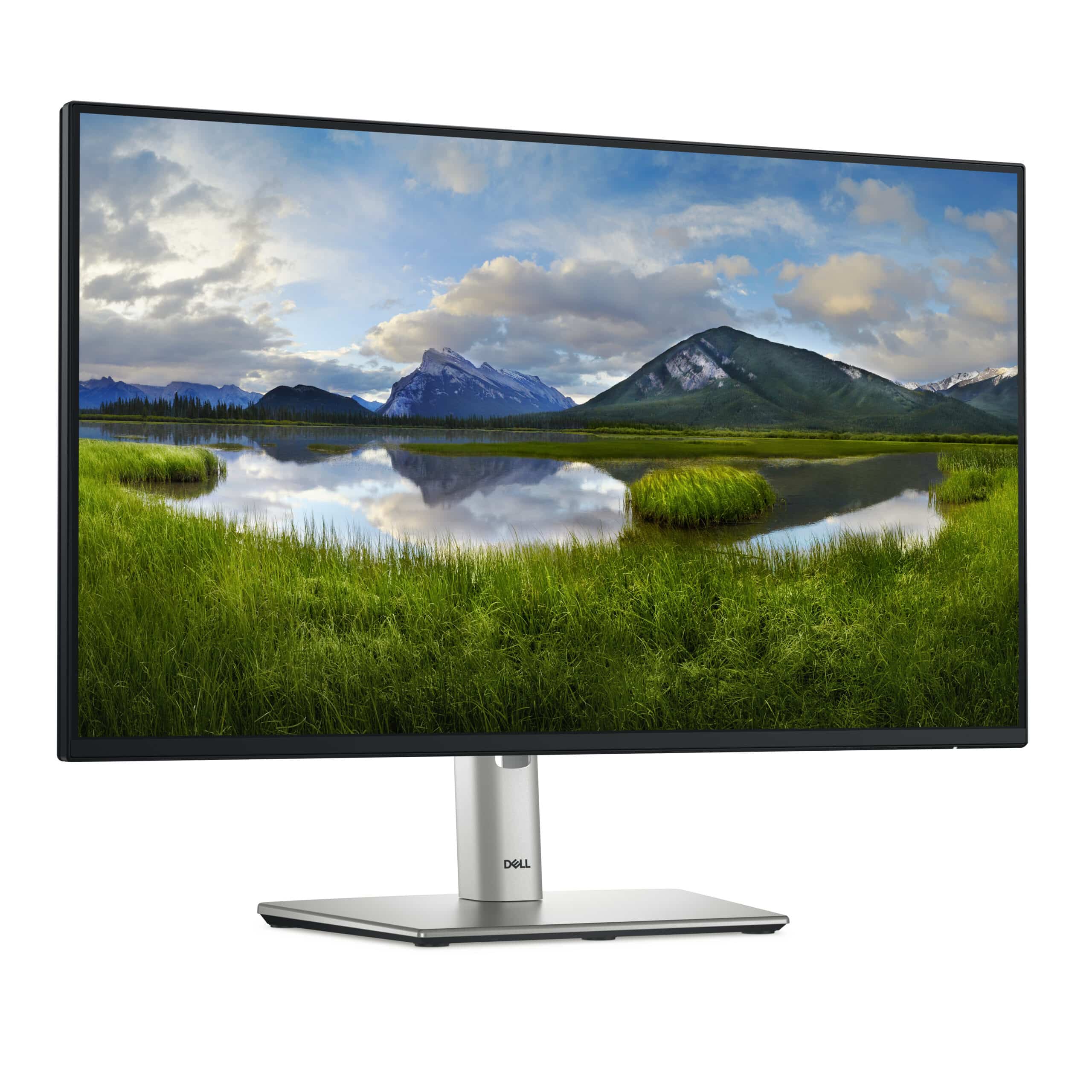Écran DELL P Series P2725H (P2725H-3Y) – Image 3