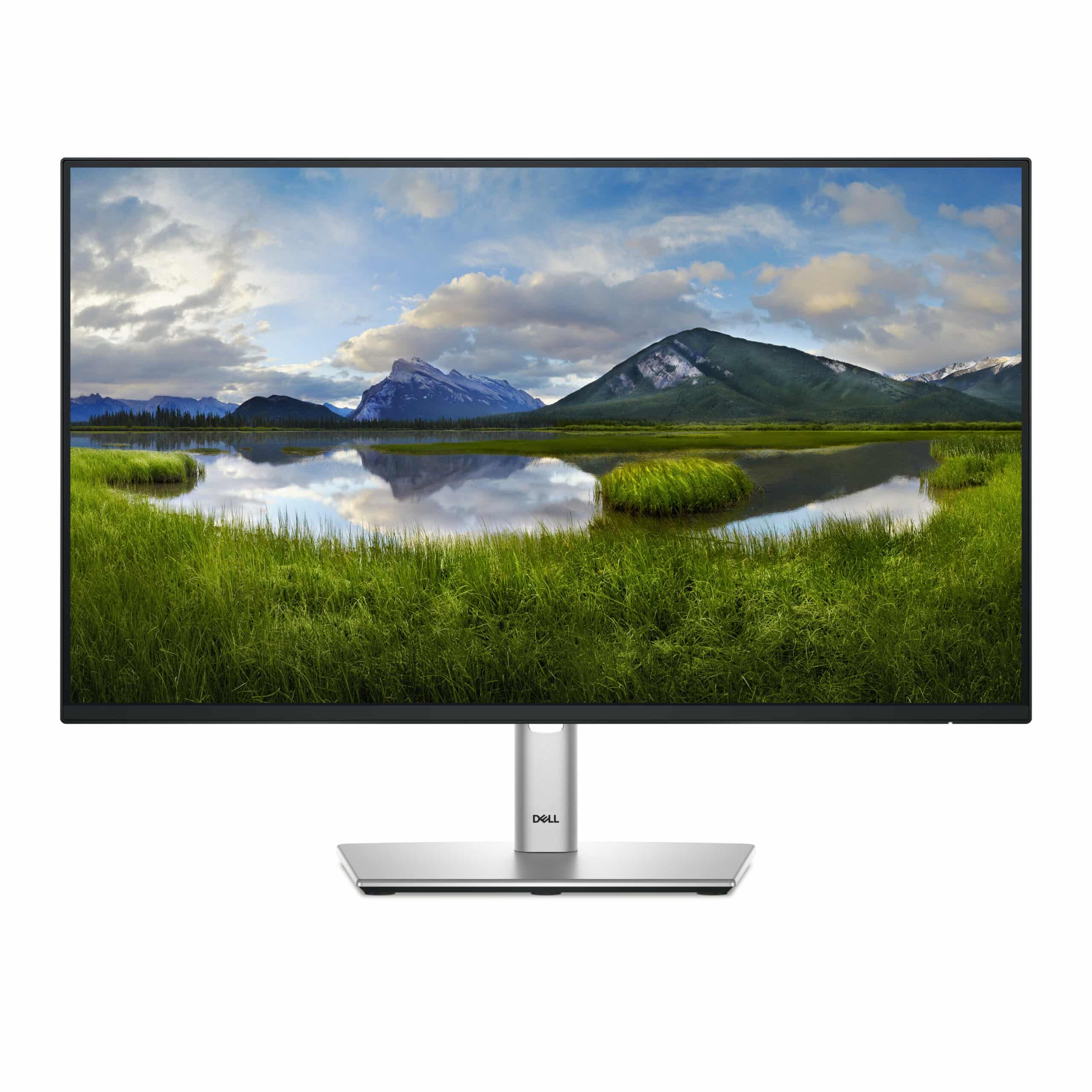 Écran DELL P Series P2725H (P2725H-3Y)