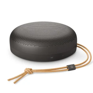 Beosound A1