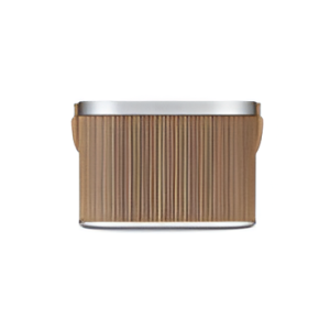 Beosound A5